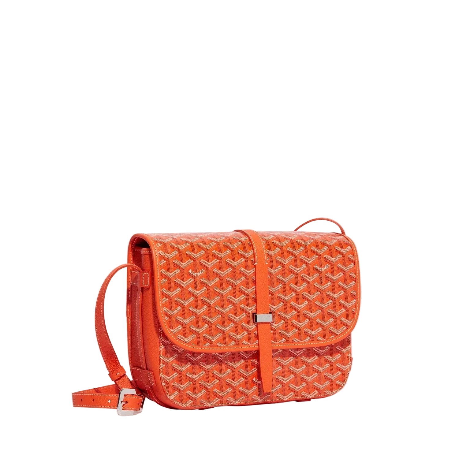 Goyard Bag