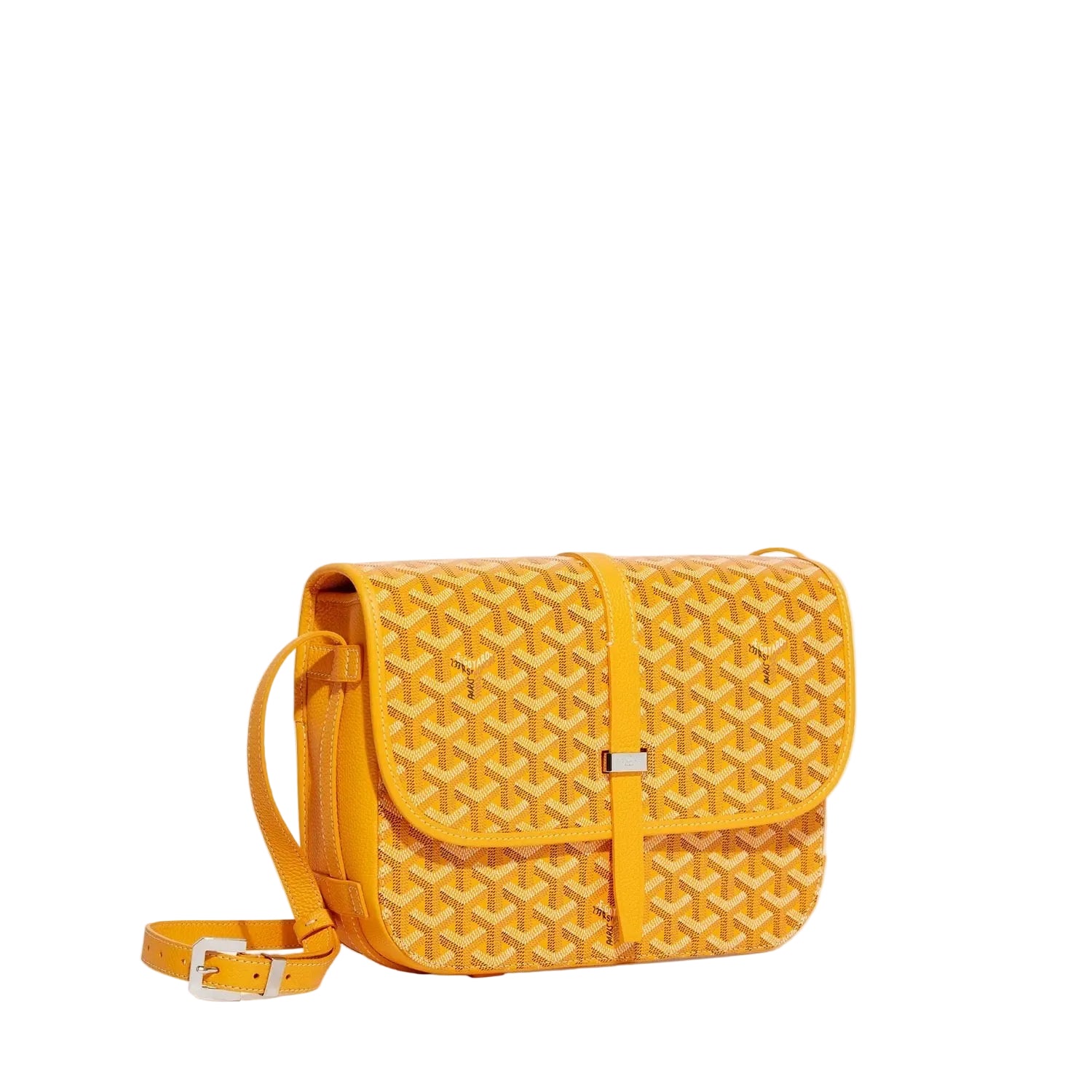 Goyard Bag